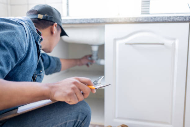 Best Clogged Drain Plumber  in Livingston, AL