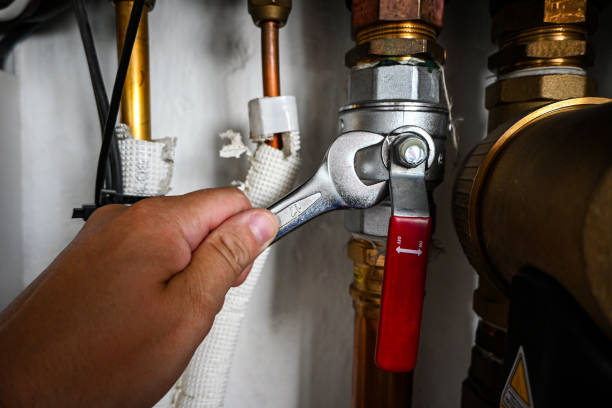 Best Plumbing Inspection Services  in Livingston, AL